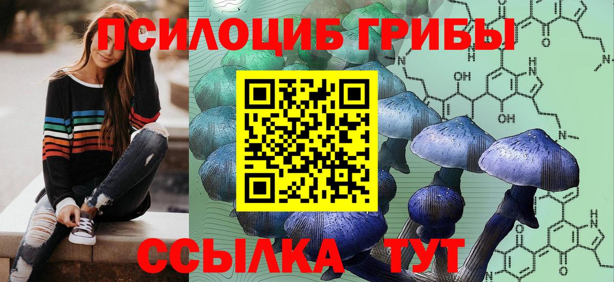 Галлюциногенные грибы прущие грибы Дзержинск